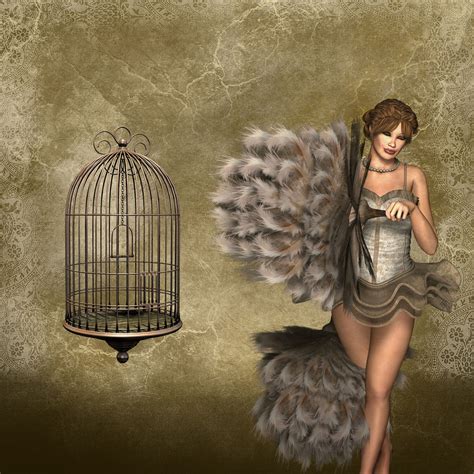 Download Cage Woman Fantasy Royalty Free Stock Illustration Image Pixabay