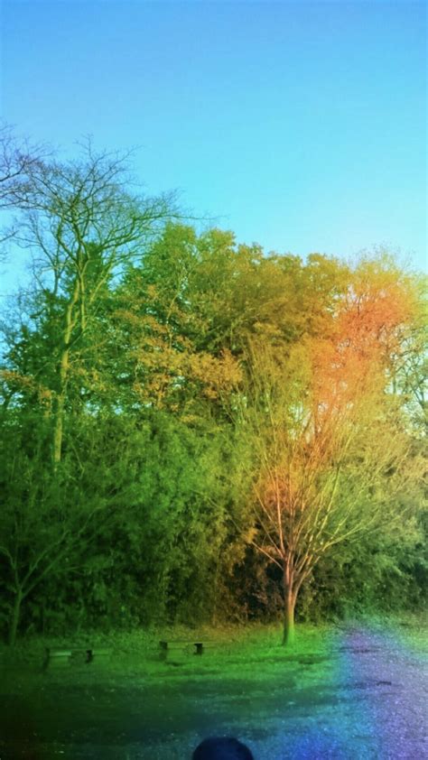 Wallpaper warna hijau polos, wallpaper hijau tua, wallpaper warna hijau tua, wallpaper hijau lucu, wallpaper hijau wallpaper hijau polos 46 free download sumber : Pemandangan Hijau | wallpaper.sc Android