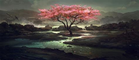 Flowering Tree On The Dark Nature Wallpapers And Images