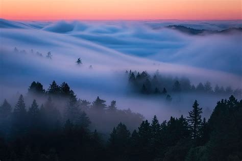 4 Tips For Photographing Fog To Create Mystical Images