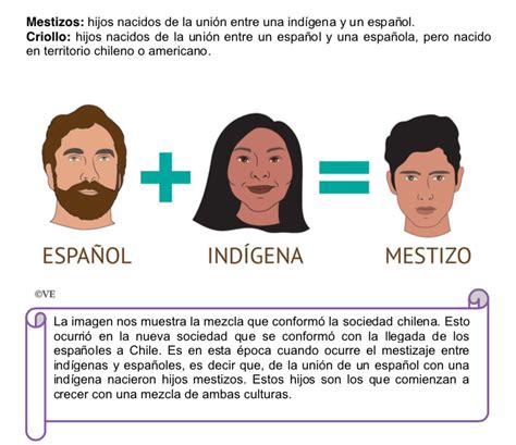 Guía De Estudio Para Historia Mestizaje E Inmigrantes Profesora