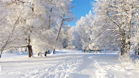 Raccolte di nicoletta mocellin • ultimo aggiornamento: Sfondi Desktop Inverno (42+ immagini)