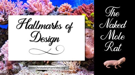 Hallmarks Of Design The Naked Mole Rat ChristadelphianVideo Org
