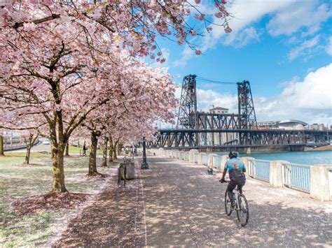 Best Bike Rides Around Portland Grafletics®