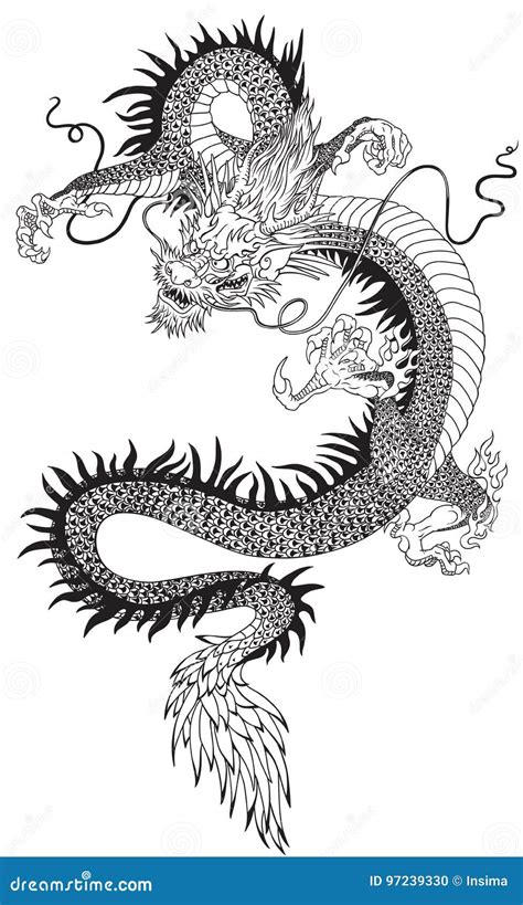Chinese Dragon Black White Stock Illustrations 5344 Chinese Dragon