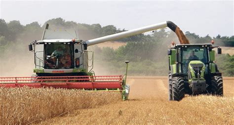 Eu Monitor Ups 2021 Grain Yield Forecasts Again The Western Producer