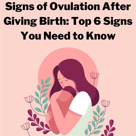 Signs Of Ovulation After Giving Birth Top 6 Signs You Need To Know