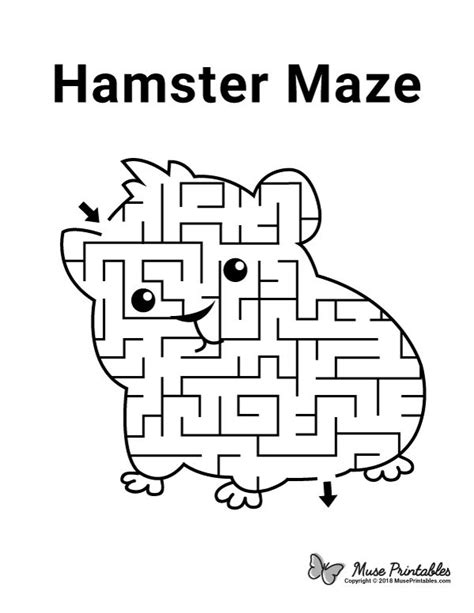 Get more facts about what to feed your small animal here. Free printable hamster maze. Download it at https://museprintables.com/download/maze/hamster ...