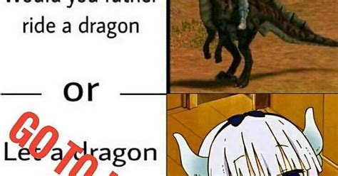 Ride A Dragon Or Imgur