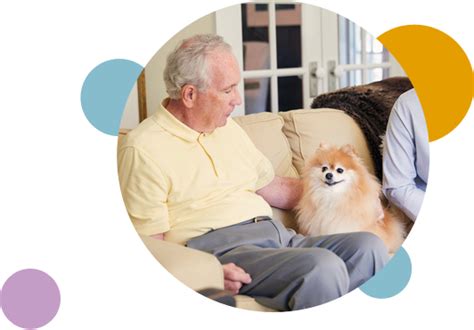 In Home Pet Care The Good Care Group