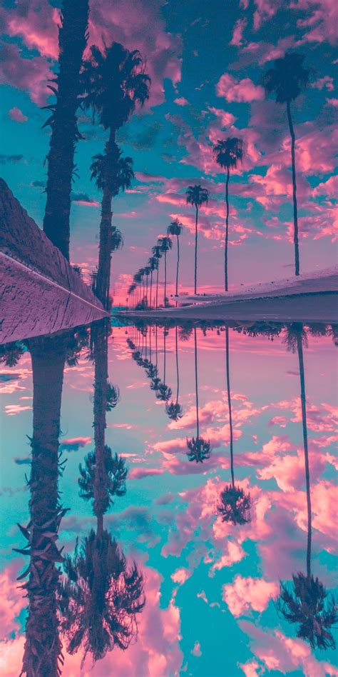 1080x2160 Palm Trees Reflection Sky One Plus 5thonor 7xhonor View 10