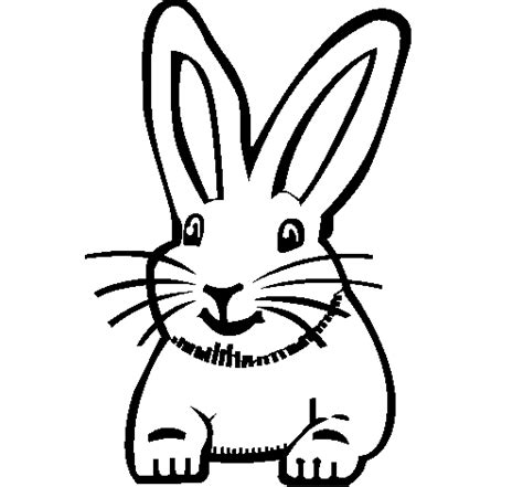 Top 153 Dibujos Para Colorear Un Conejo Ginformatemx