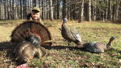 Dnr Michigans Spring Season Allows Anyone To Hunt Wild Turkesy Wpbn