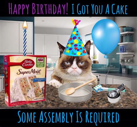 Cat Joke Birthday Cards Cat Meme Stock Pictures And Photos