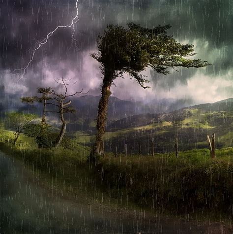Green Leaved Tree Gray Clouds Stormy Weather Landscape Nature