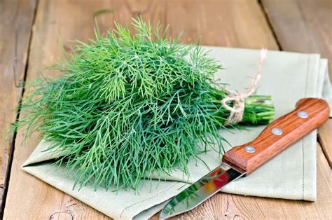 6 surprising health benefits of dill live love fruit