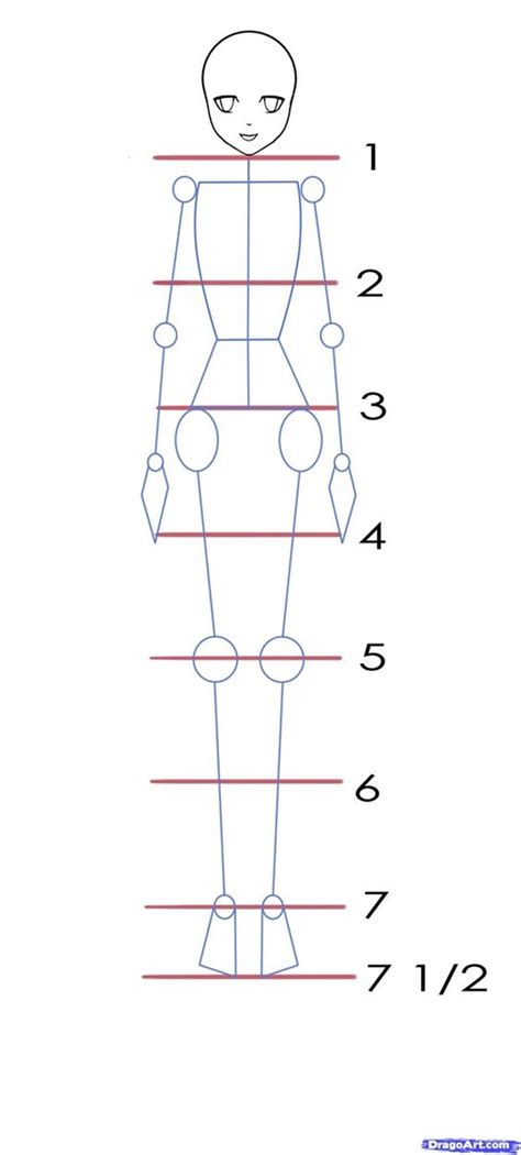 How to Draw Anime Characters Step by Step (30 Examples)