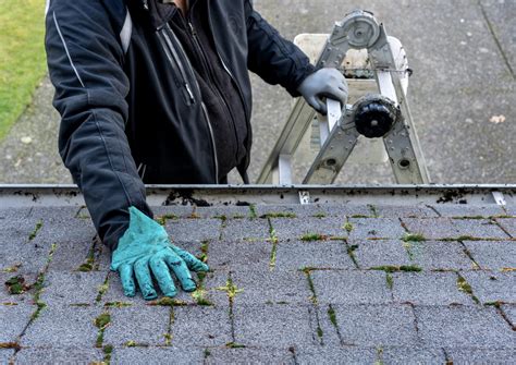 4 Best Roof Cleaning Products Eagle Eye Roofing