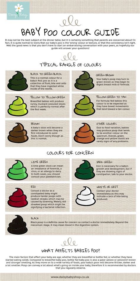 We Turned The Baby Poo Colour Guide From Our Blog Into An Infographic