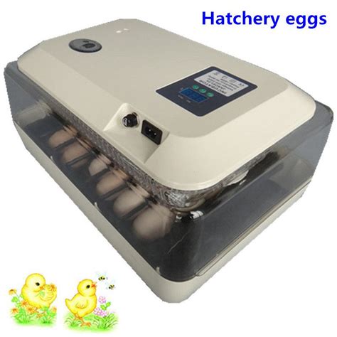 hatchery eggs incubator brooders machine for chickens ducks parrot goose mini automatic egg