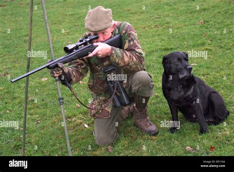 Duff Hart Davis Deer Stalking With His Gun Dog And Using An Elevated