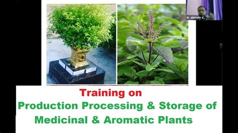 Production Processing And Storage Of Medicinal And Aromatic Plants Youtube