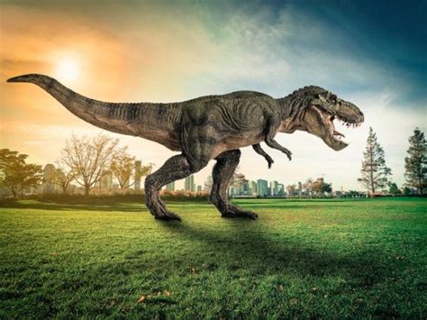 Ver más ideas sobre dinosaurio rex dibujo, dinosaurios rex, dinosaurios. Dinosaurios - Nombres, historia e información ...