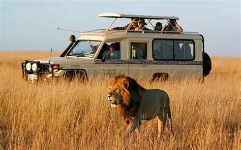 Os 10 Melhores Fornecedores De Safári De 2018 Safari Travel African