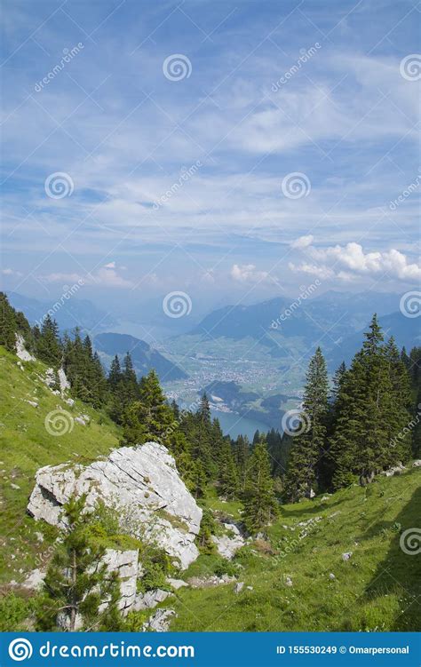 Landscape In The Alps With Fresh Green Meadows And Trees Stock Image