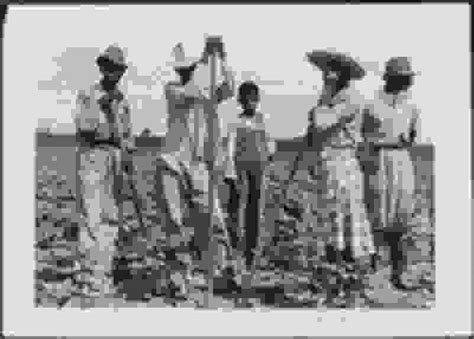 Marion Post Wolcott Men And Women Working In A Field Bayou Bourbeaux