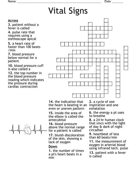 Vital Signs Worksheet