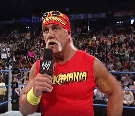 African American Wrestlers Have Their Say On Hulk Hogan Going Back Into