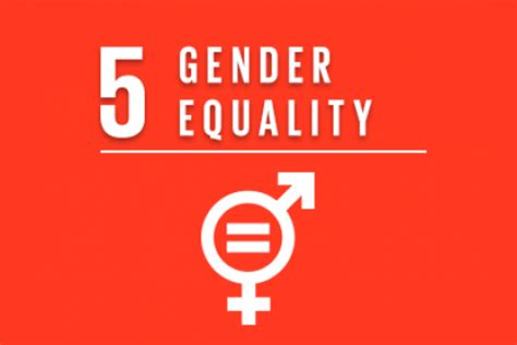 Gender Equality And The Empowerment Of Women United Nations Industrial Development Organization