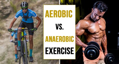 Aerobic Vs Anaerobic Exercise Steadfast Nutrition