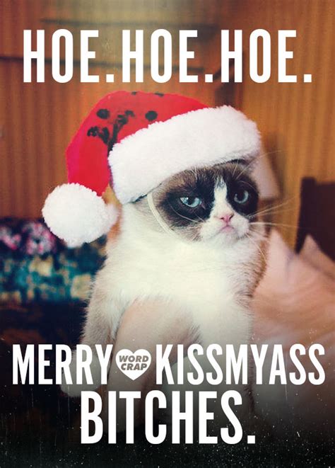 Grumpy Cat Christmas Pictures Photos And Images For Facebook Tumblr