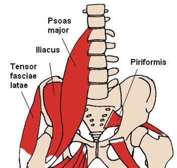It is characterized by an anterior tilt to the pelvis (arched lower back). Psoas Stretches for Lower Back Pain - Triathlon Geek Blogs