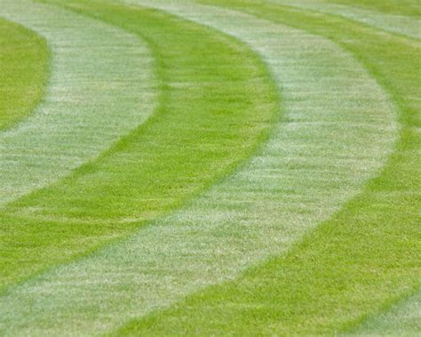 Lawn Mowing Patterns 6 Designs Plus Tips On How To Do It Gardeningetc