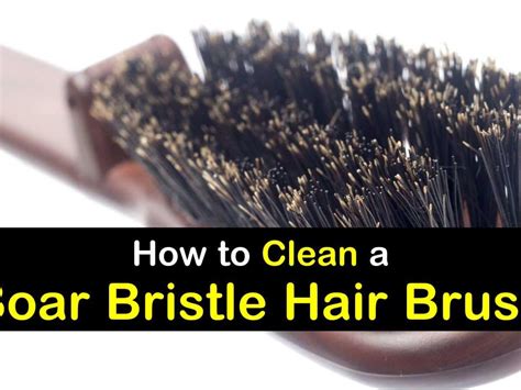 Best Way To Clean A Hairbrush For Sale Save Jlcatj Gob Mx