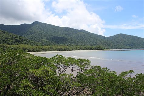 The Daintree Rainforest Postcards From Here And There