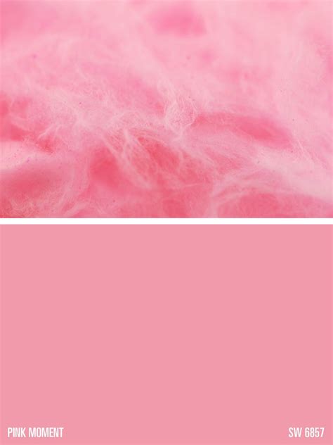 Sherwin Williams Paint Color Pink Moment Sw 6857 Red Paint Colors