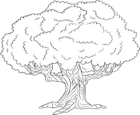 Forest Trees Coloring Pages At Free Printable