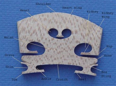 Parts Of The Violin Bridge Violin Bridge Violin Design Violin Repair