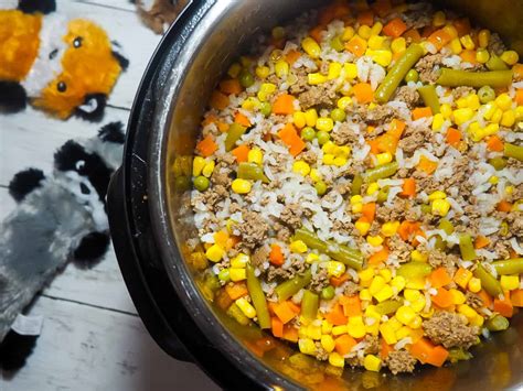 Recipe Easiest Diy Dog Food Petsfoodnutrition