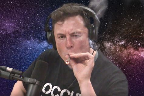 Elon Musk Asked Twitter For Their Dankest Memes And Promptly Copped A