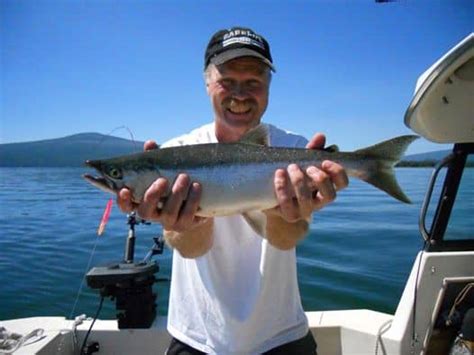 Kokanee Fishing Simple Tips And Techniques Best Fishing In America