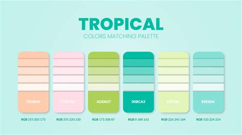 Tropical Color Palette Or Color Schemes Are Trends Combinations And