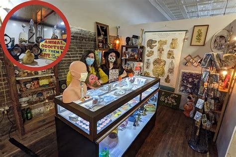 Get Lost For Hours At This Henderson Kentucky Oddities Shop
