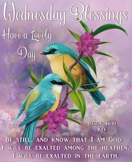 Bible Verse Good Morning Wednesday Blessings Morning Walls 9f8