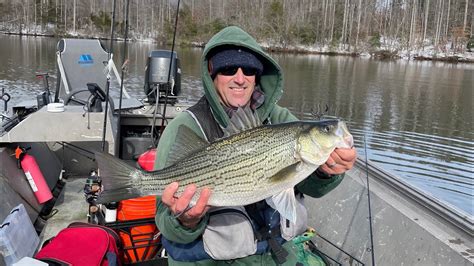 Fishing Forecasts And Reports Virginia Dwr