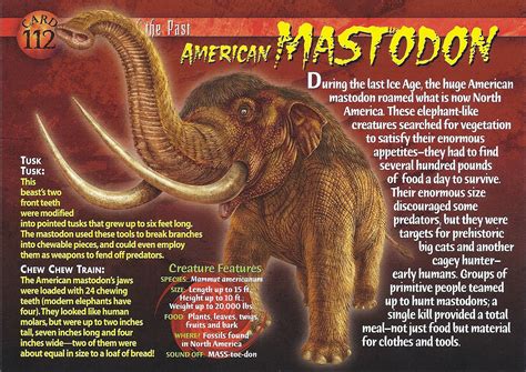 Image American Mastodon Front Dinopedia Fandom Powered By Wikia